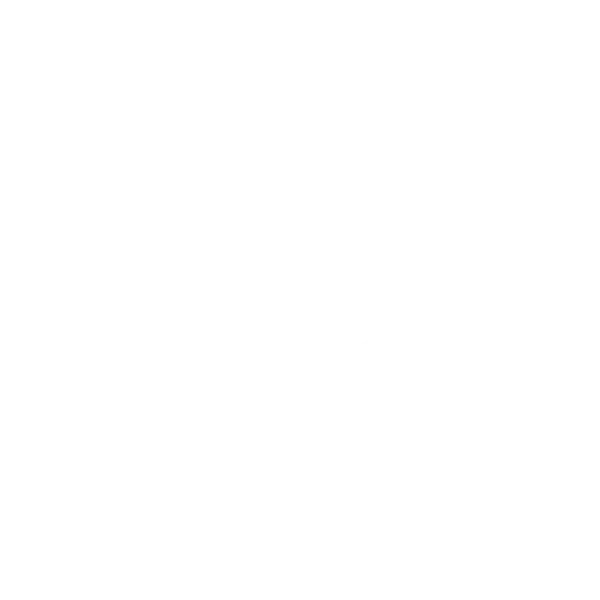 Hotel Señorial